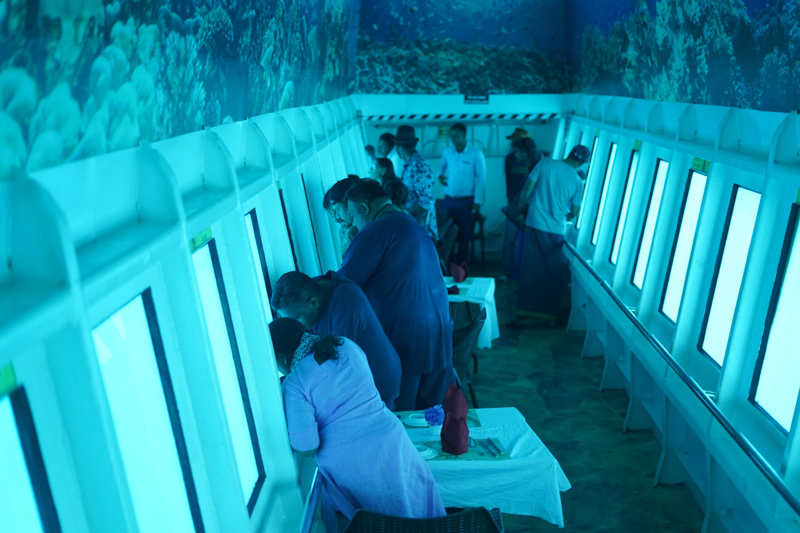 Lunch with Coral + Watersports Activities